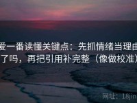 爱一番读懂关键点：先抓情绪当理由了吗，再把引用补完整（像做校准）