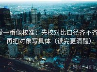 爱一番像校准：先校对比口径齐不齐，再把对象写具体（读完更清醒）