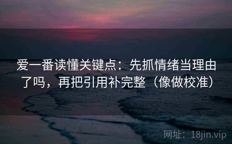 爱一番读懂关键点：先抓情绪当理由了吗，再把引用补完整（像做校准）