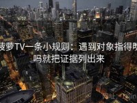 菠萝TV一条小规则：遇到对象指得明吗就把证据列出来